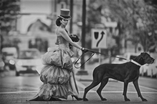 0Z9A4915 - Version 2