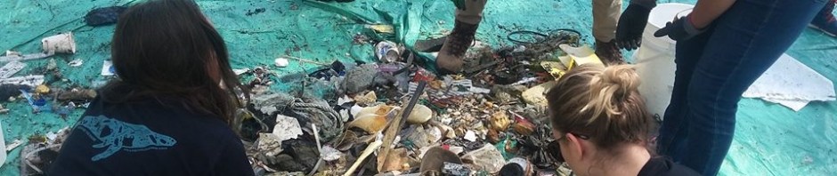 How can we blame others for plastic when we’re also the&nbsp;problem?